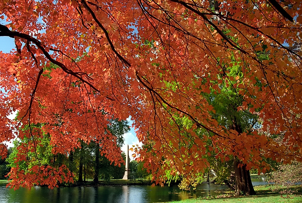 Spring Grove Cemetery - David Ohmer - Fall Leaves Cincinnati