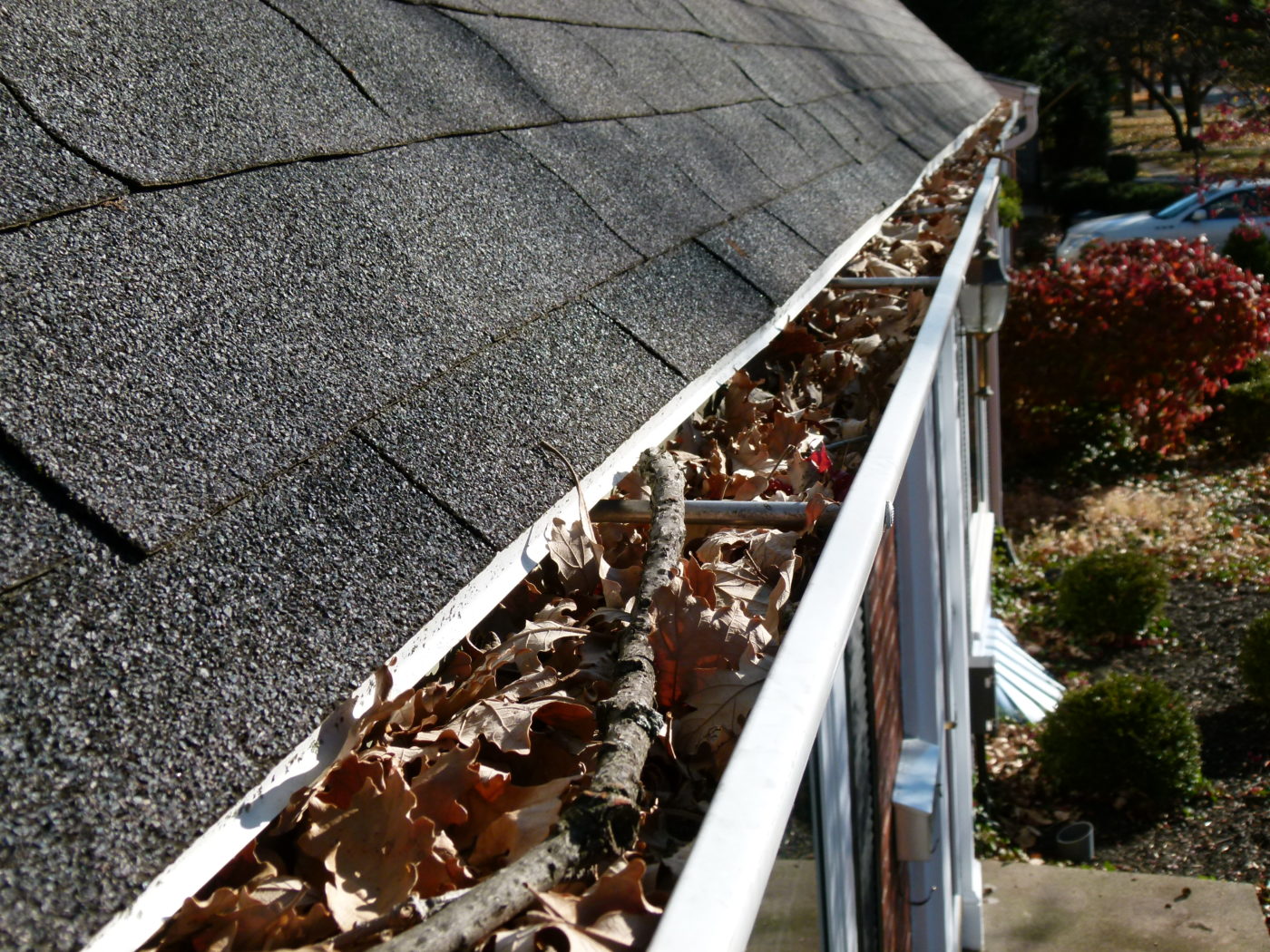 Gutter Clogged with Leaves