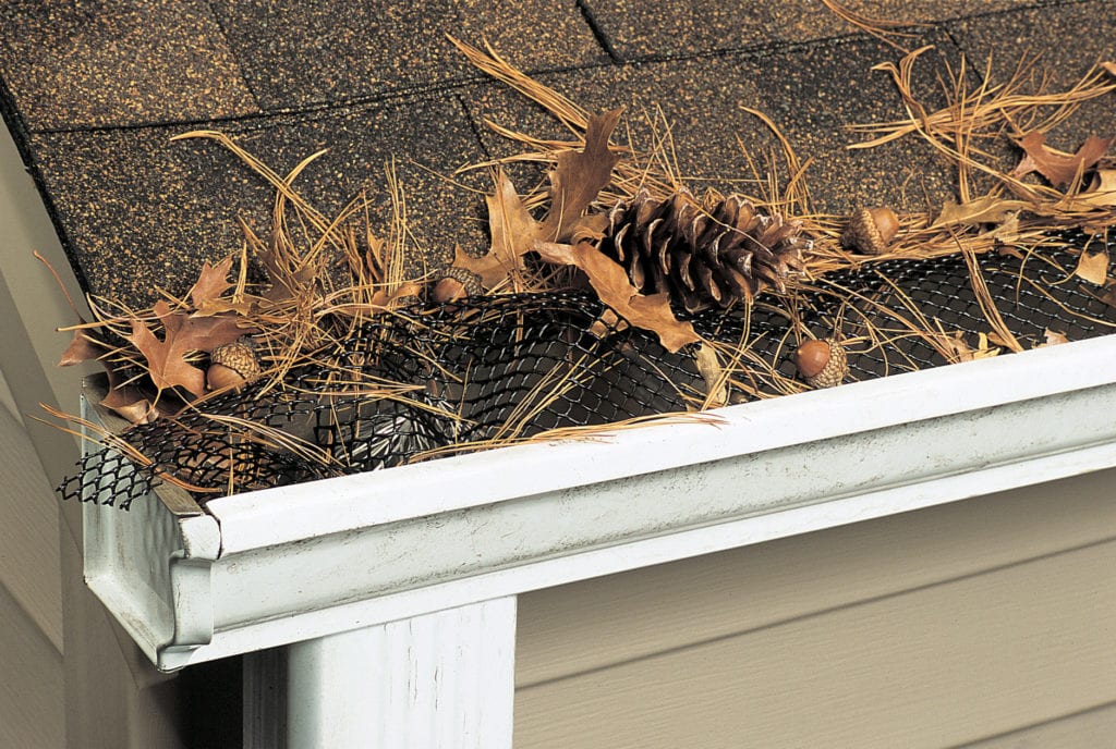 Gutter clogged with debris
